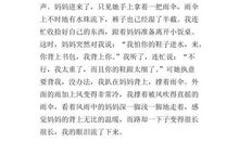 感谢那场风雨作文500字