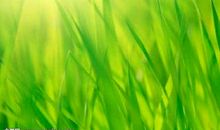 不一样的阳光-诗歌一首