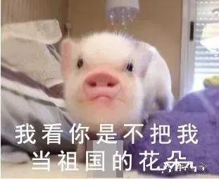 “爸爸就是不动如山！”00后写起作文有多野？差点笑断气 7