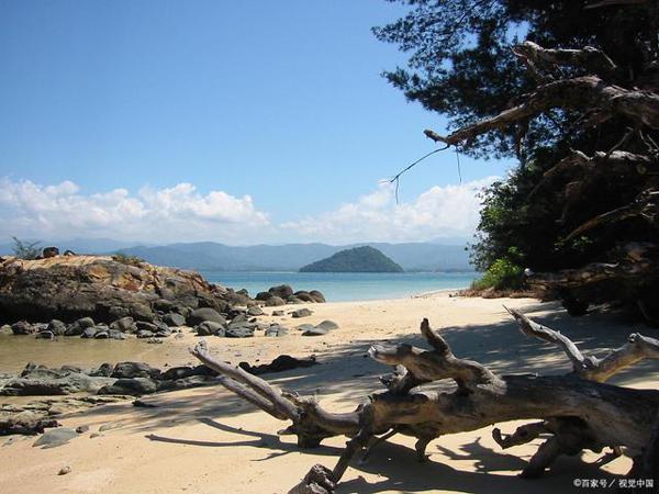 这两篇读后感,大家模范来写作吧!