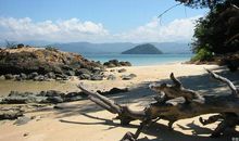 这两篇读后感，大家模范来写作吧！