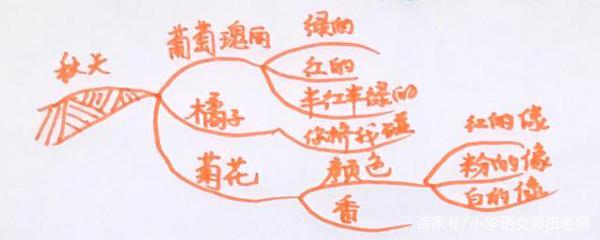 作文刚起步,写景没顺序,这种方法让你布局谋篇来得快 8