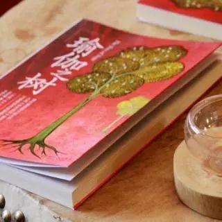 《瑜伽之树》读后感 3