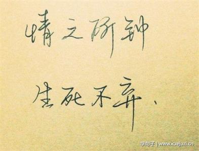 亲情不生锈_450字