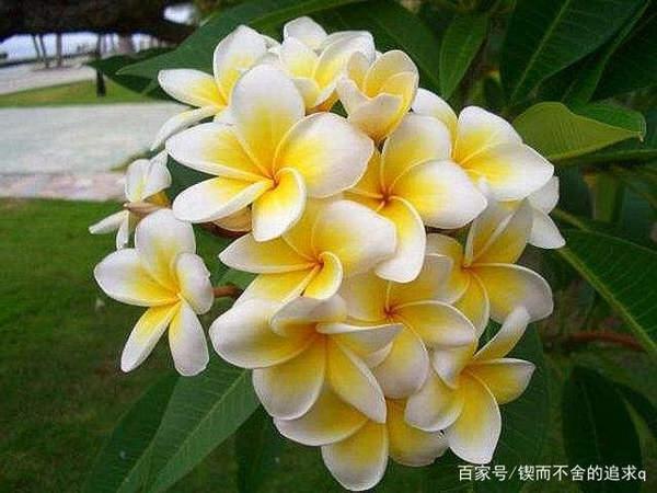 想象作文的其他形式——扩写作文和缩写作文