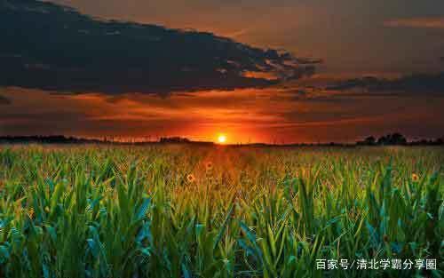 英语作文高分的7个要点,看完必须收藏 2
