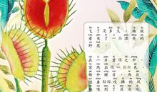 美丽的陷阱 优秀记叙文1000字