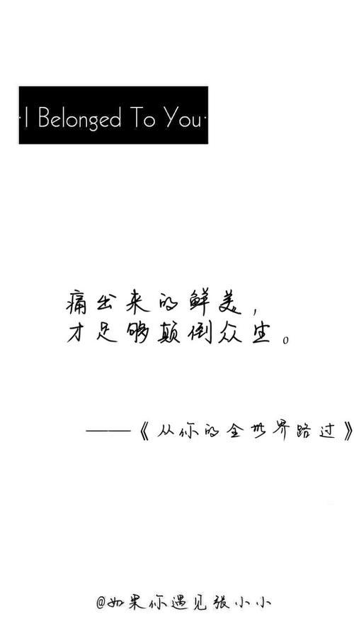 遇见未来的我-初一随笔400字