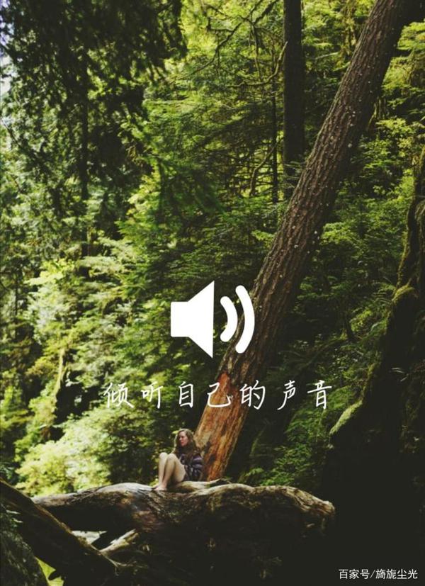读后感——《三重门》
