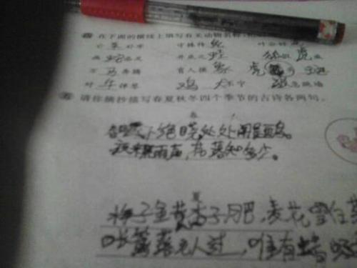 描写秋天的诗句30首