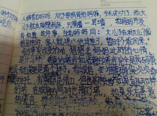 初二叙事作文：辩论会_600字