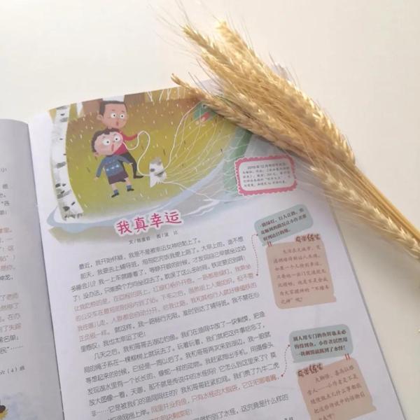 原创 孩子作文写不好，80%是作文入门没做对，老师告诉你应该这样..... 15