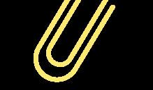 《瑜伽之树》读后感