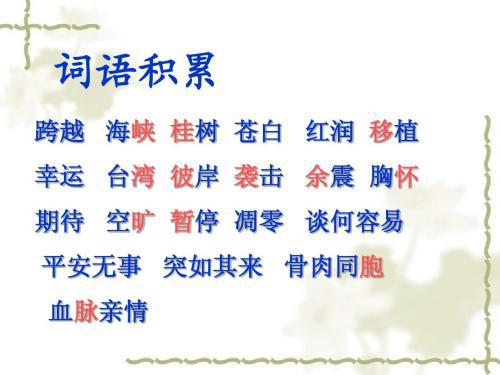 亲情之桥_750字