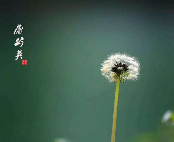 一本能让我快速启动回归内在的神奇之书——《走进魔法店》读后感 6