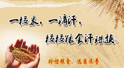 关于节俭的格言_700字