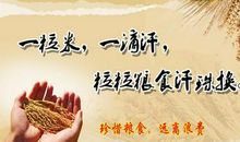 关于节俭的格言_700字