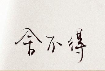 初三议论文：舍与得_550字