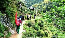 四年级作文：游走杭徽古道