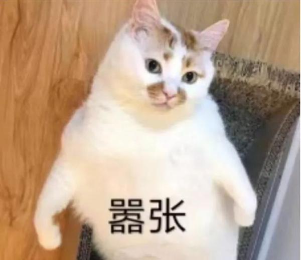 别人家孩子的作文怎么写得那么好？羡慕嫉妒恨！