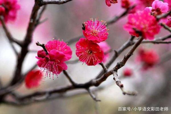 作文刚起步,写景没顺序,这种方法让你布局谋篇来得快 11