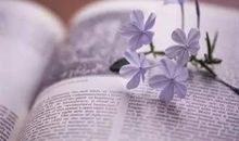 【作文素材】文学作品里很好用的写作素材，千万不要视而不见