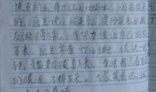 责任作文精选450字5篇