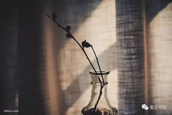 《如果大雪封门》读后