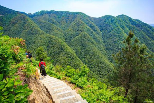 作文注重细节,“爬山”也能写出新意 2