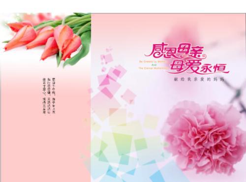 亲情――母爱_350字