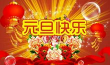 关于元旦的作文：快乐的元旦_450字