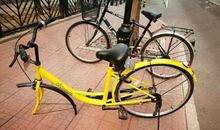 五年级作文：共享单车的自述