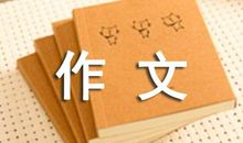 念心的话题作文