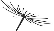 2019优秀作文来了！超有文采快读！