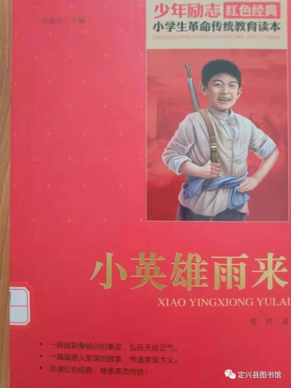 燕赵少年读书系列活动（读一本书撰写读后感）