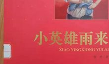 燕赵少年读书系列活动（读一本书撰写读后感）