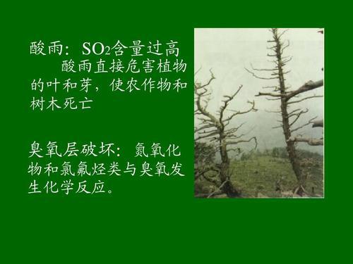 追求绿色时尚、走向绿色文明 保护环境的作文500字