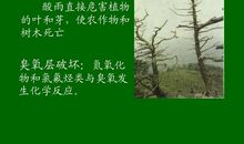 追求绿色时尚、走向绿色文明 保护环境的作文500字