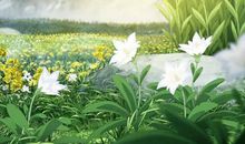 优秀作文欣赏：《幸福的约束》