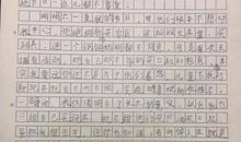 乡间情趣-写事的作文900字