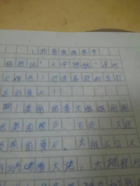 与冬青树赛跑-写事的作文500字