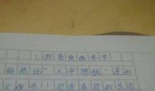 与冬青树赛跑-写事的作文500字