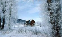 陶醉在雪景之中_800字