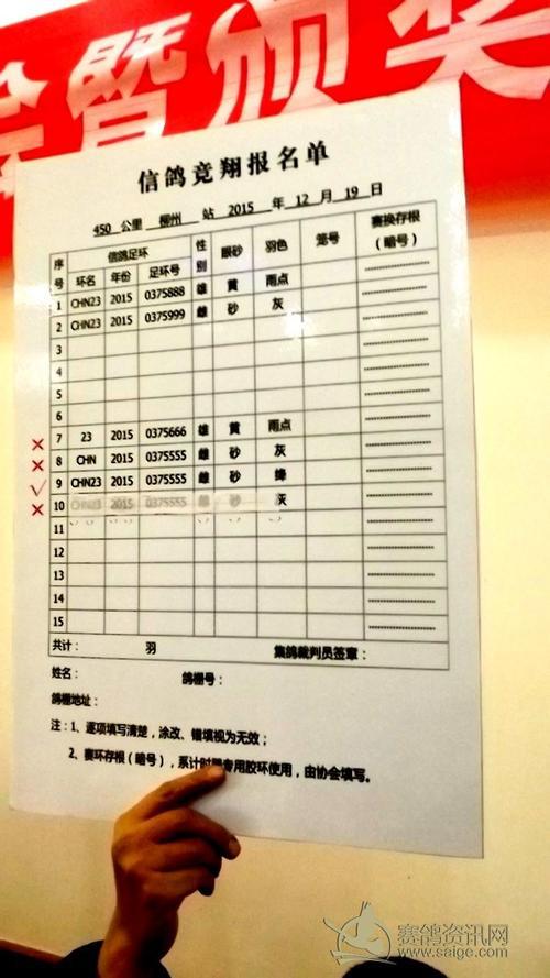 学校财务年度工作计划范文5篇
