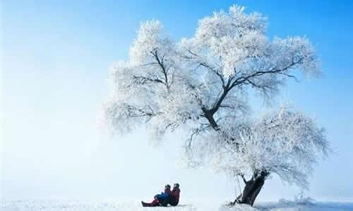 雪景_500字