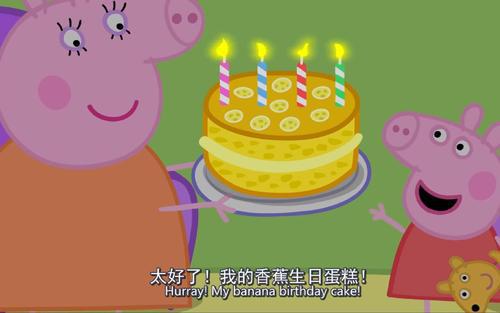 我的生日MY BIRTHDAY_450字