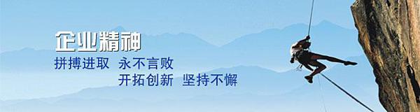 中考作文素材欣赏：《成功来自拼搏》