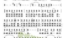 我读懂了兄弟情作文600字