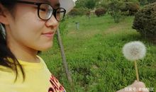 高中优秀作文赏析及点评：忙趁东风放纸鸢