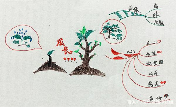 那一刻，我长大了——五年级同步作文